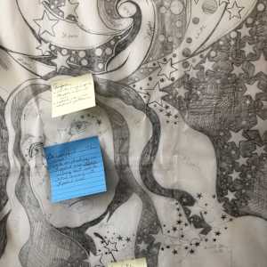 Stargazer by Frances Byrd  Image: Stargazer Carving Notes