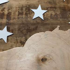 Lunaria by Frances Byrd  Image: Lunaria Star Detail