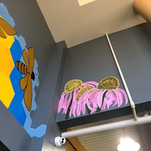 2025 Honeybee Mural by Frances Byrd  Image: Echinacea Flowers, approximately 4x6 feet
Portion of large honeycomb mural on adjoining wall
Located approximately 10 feet above ground level