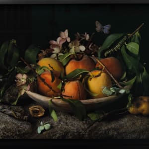 Peaches and Hydrangeas, After G.G. by Paulette Tavormina