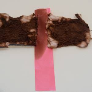all the ways my body is different after cancer (after Gabrielle Ione Hickmon, essay of same title) by Gabrielle Ione Hickmon 