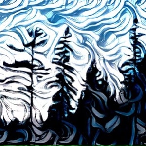 Joyful Pines, Whispering Lines by Amy Ferrari  Image: Reference Photo, digitally transformed
