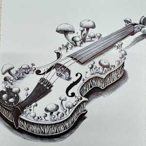 Violin by Somaya Etemad
