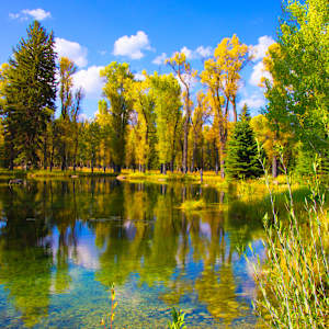 Skip's Pond 2014 6/100 by Lee Cooper, Image 1.