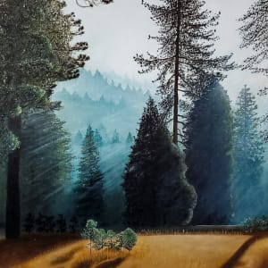 7:00am in Sequoia by Fumie Coello