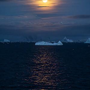 Antarctic Iceberg in Moonlight by Steven Lopez