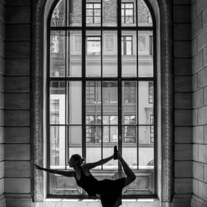Dancing in the Library II by Eric Renard