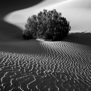 Death Valley Yin & Yang by Eric Renard