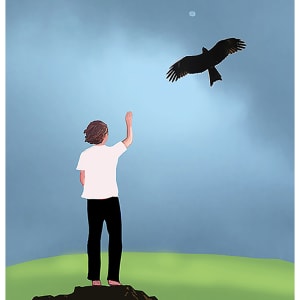 Farewell My Hawk by Sunhee Joo