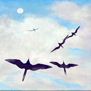 Frigates Rising by Sunhee Joo