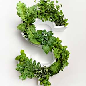 "G6" by Oxana Akopov