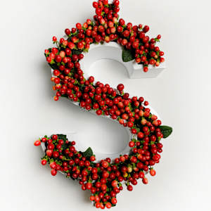 "G7" by Oxana Akopov