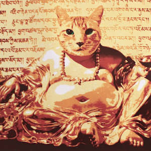 Golden Buddha Cat by Karen Fiorito