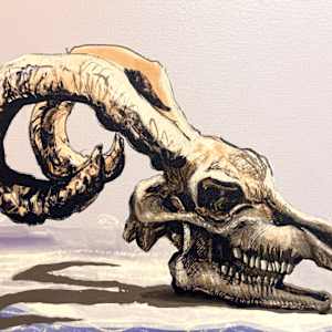 Ram Skull by David Stewart Klein, Image 1.