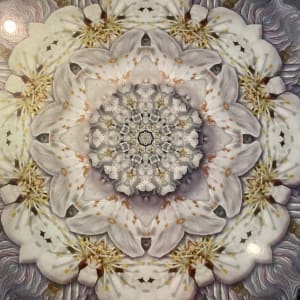White Fruit Blossom by Karen Hochman Brown