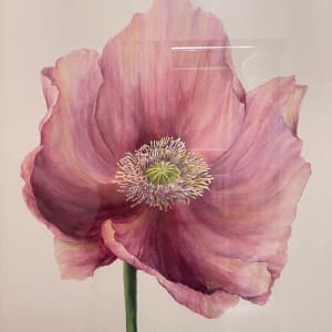 Poppy by Kathleen Losey