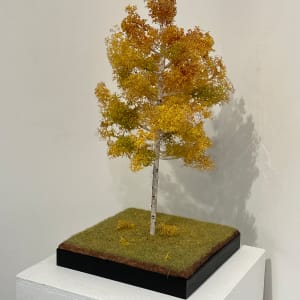 24" Aspen Tree by Gary Polonsky