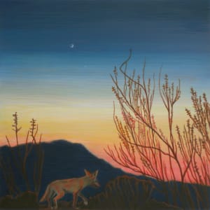 Moon Coyote by Jaime Coffey