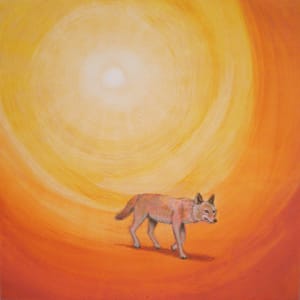 Sun Coyote by Jaime Coffey