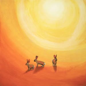Sun Rabbits by Jaime Coffey