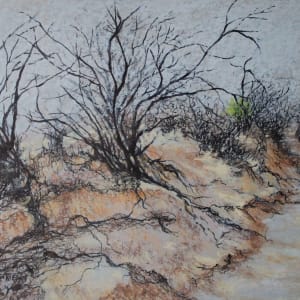 Riverbed Roots by Helen McLuckie