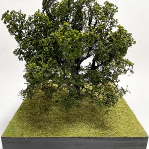 Small Oak Tree 3 by Gary Polonsky