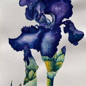 Blue Violet Irises by Shirley Peppers