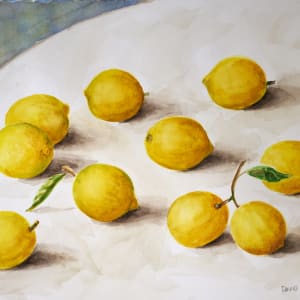 Transient Lemons by David Phelps