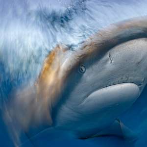 The Arc of Golden Hour by Explorers Photography