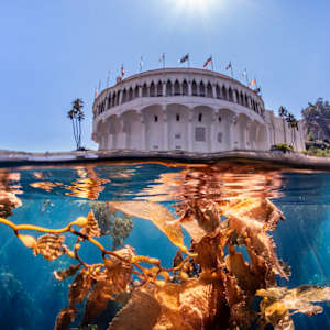 Catalina Dreaming by Explorers Photography