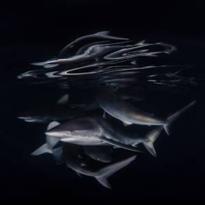 Silky Mirage by Explorers Photography