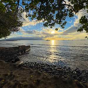 Lahaina Lives - Mala 2 1/100 by Lee Cooper