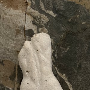 Carmen: Torso Study by Don Paglia