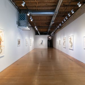 Cosmos by Laura Ball  Image: Installation in "Cosmos" at the David B Smith Gallery, Denver, CO