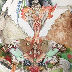 Moth Mandala by Laura Ball 