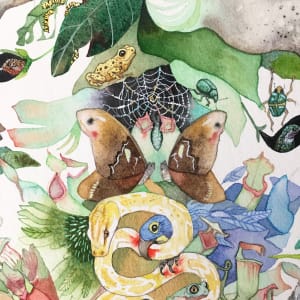 Moth Mandala by Laura Ball 