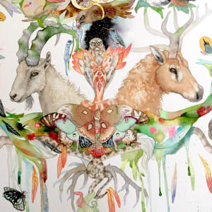 Moth Mandala by Laura Ball 