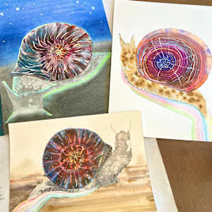 Snail study by Laura Ball 
