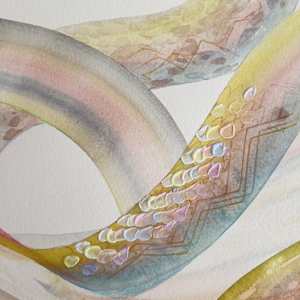 Diamondback by Laura Ball 