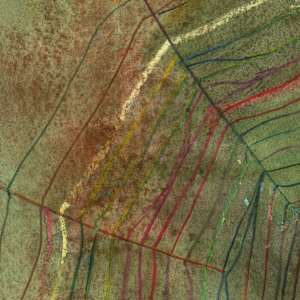 Green Webs by Laura Ball 