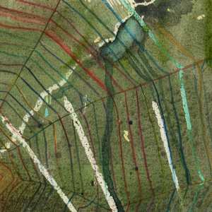 Green Webs by Laura Ball 