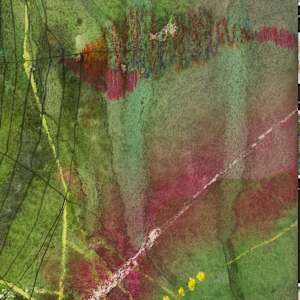 Green Webs by Laura Ball 