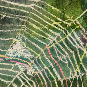 Green Webs by Laura Ball 