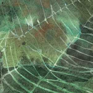 Green Webs by Laura Ball 