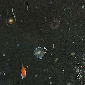 Fires on the Horizon by Laura Ball 