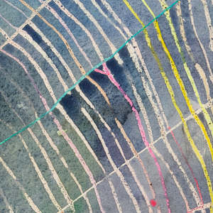 Blue Web by Laura Ball 