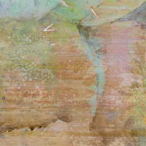 Prickly by Laura Ball, Image 9.