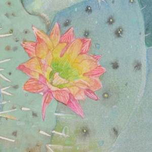 Prickly by Laura Ball, Image 10.