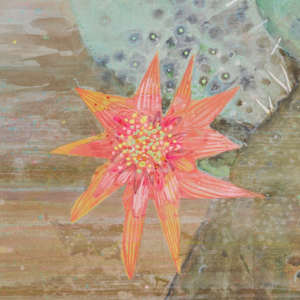 Prickly by Laura Ball, Image 11.