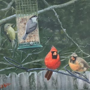 Backyard Birds by Pat Wattam